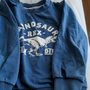 1 Dino sweatshirt 1 flannel hooded shirt 1 sweater